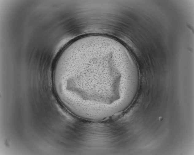 X0000097501030200803142015