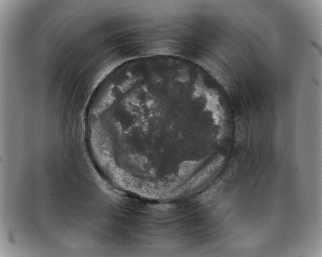 X0000097501031200803142015