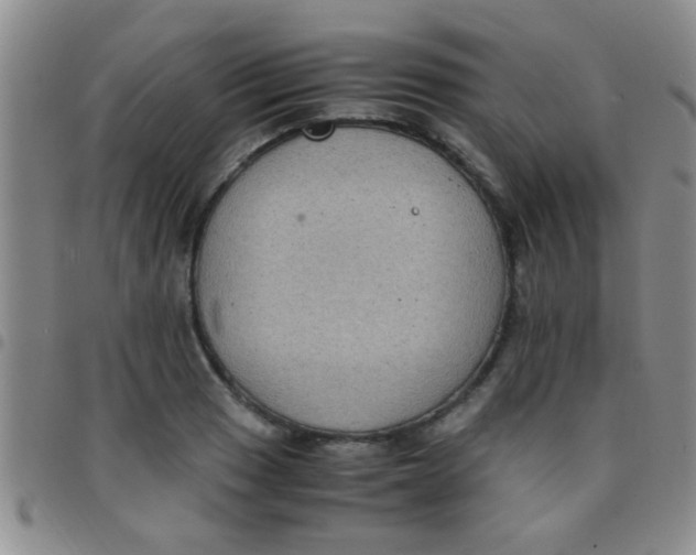 X0000097501033200803142015