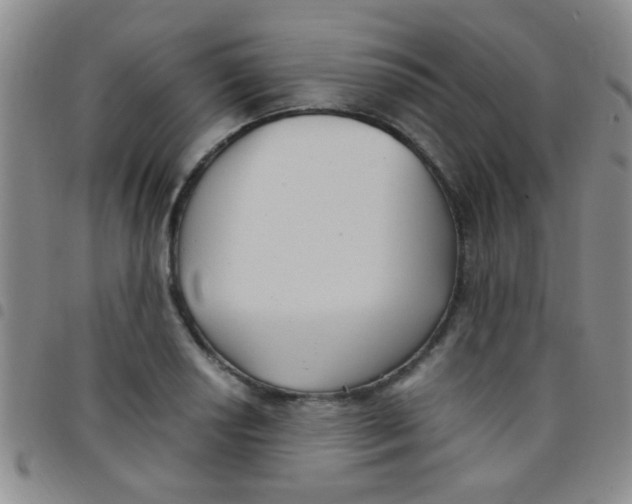 X0000097501034200803142015