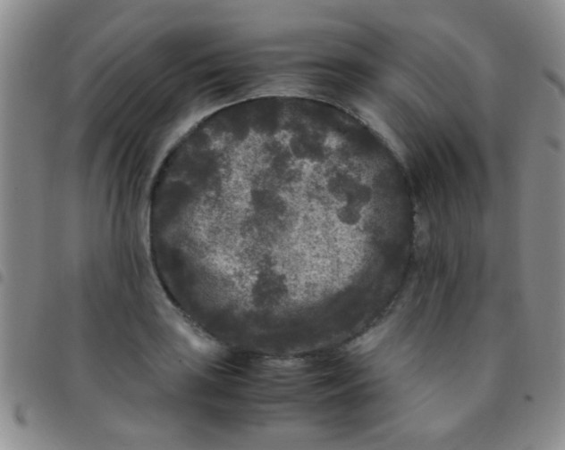 X0000097501035200803142015