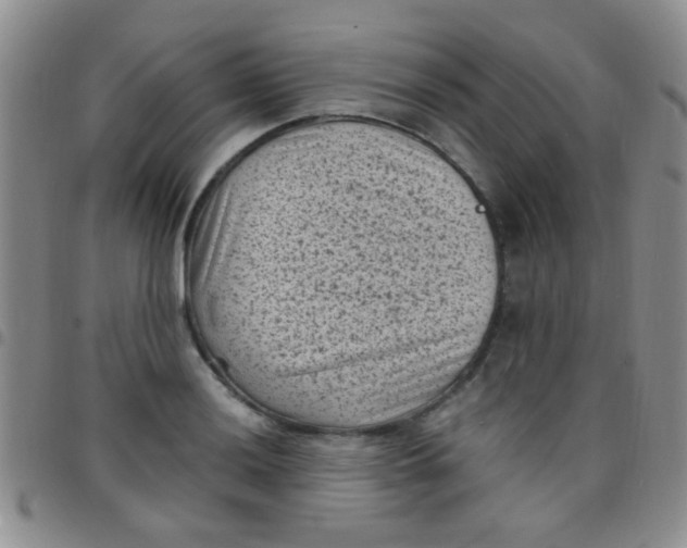 X0000097501036200803142015