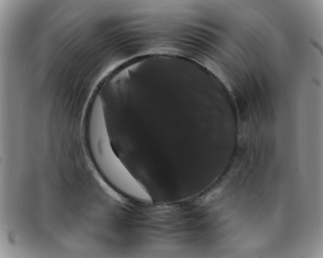 X0000097501037200803142015