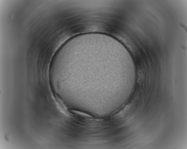 X0000097501039200803142015