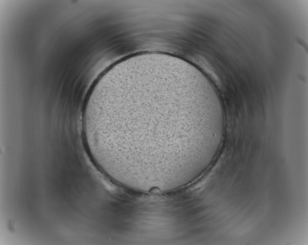 X0000097501040200803142015