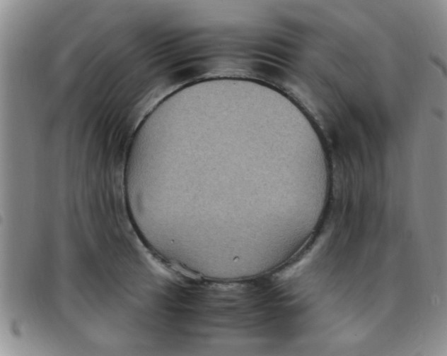 X0000097501041200803142015