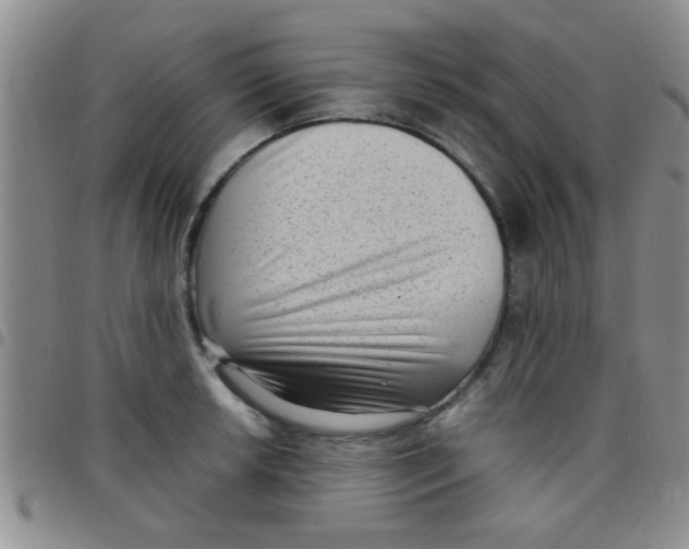 X0000097501042200803142015