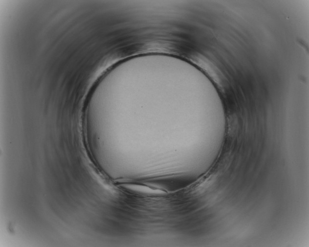 X0000097501043200803142015