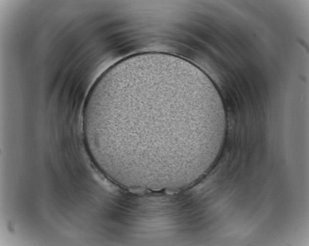 X0000097501044200803142015