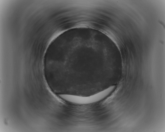 X0000097501045200803142015