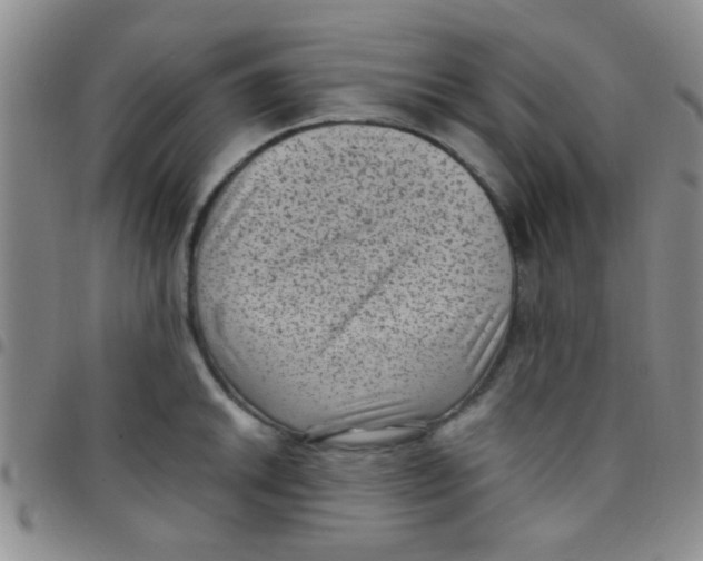 X0000097501046200803142015