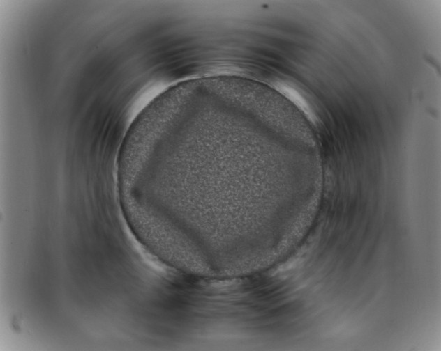 X0000097501047200803142015