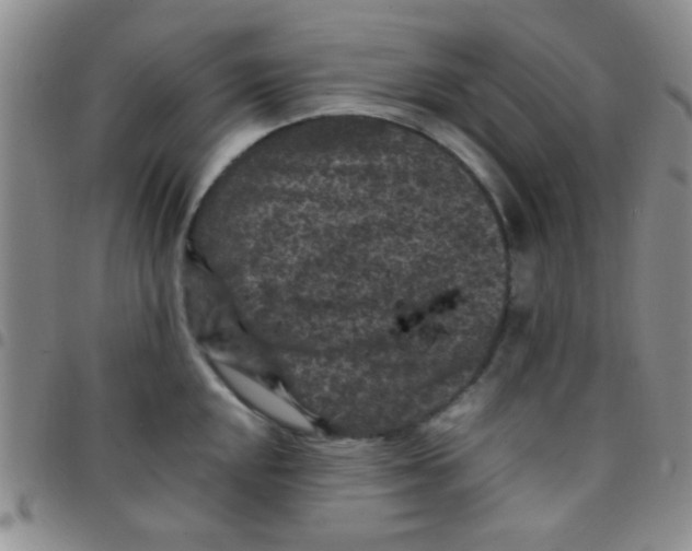 X0000097501048200803142015