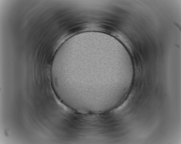 X0000097501049200803142015