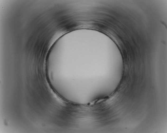 X0000097501050200803142015