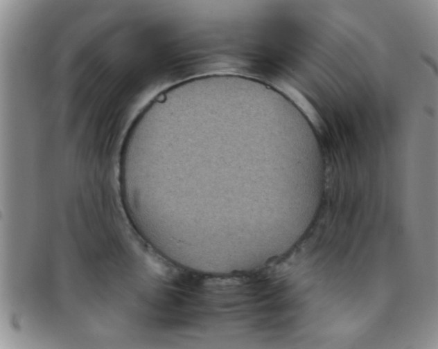 X0000097501051200803142015