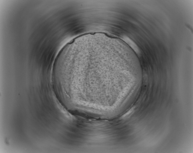 X0000097501052200803142015