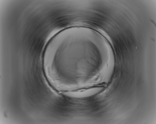 X0000097501053200803142015