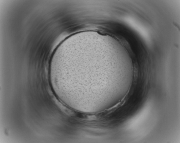 X0000097501054200803142015