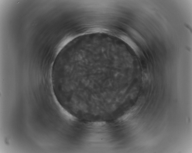 X0000097501055200803142015