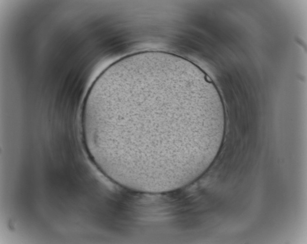 X0000097501056200803142015