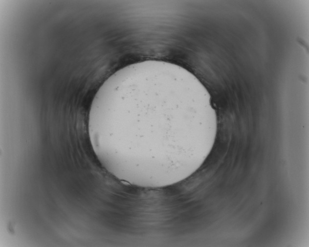 X0000097501058200803142015