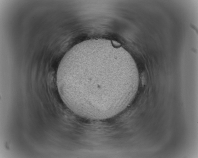 X0000097501059200803142015