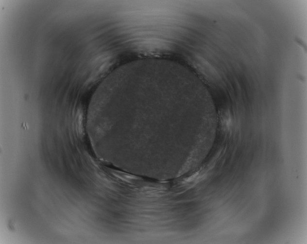 X0000097501060200803142015