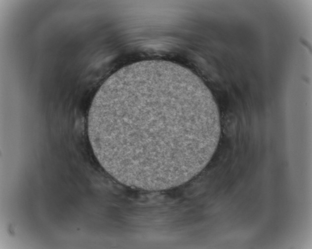 X0000097501061200803142015