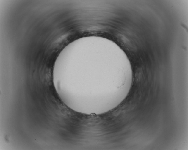 X0000097501062200803142015