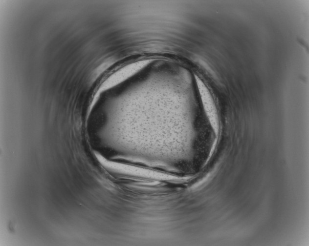 X0000097501065200803142014