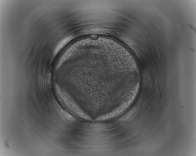 X0000097501066200803142014