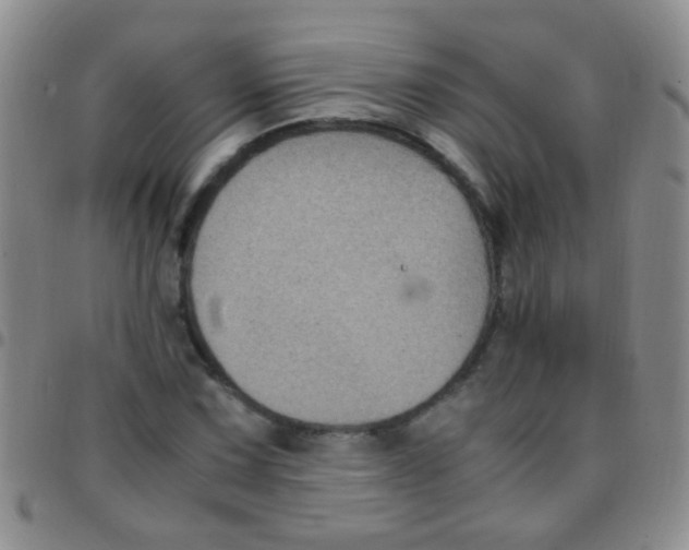 X0000097501067200803142014