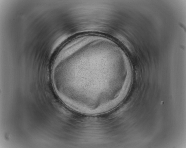 X0000097501069200803142014