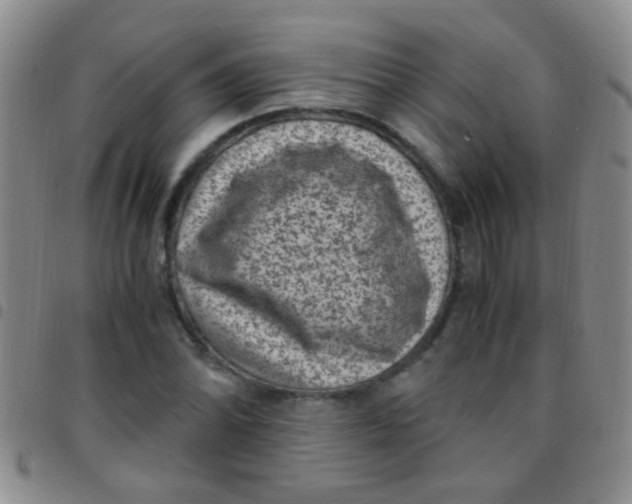 X0000097501070200803142014