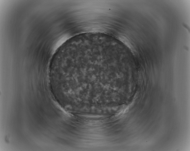 X0000097501071200803142014