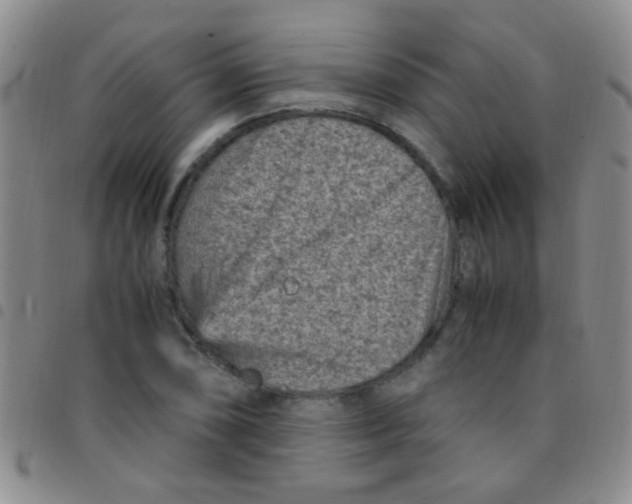 X0000097501074200803142014