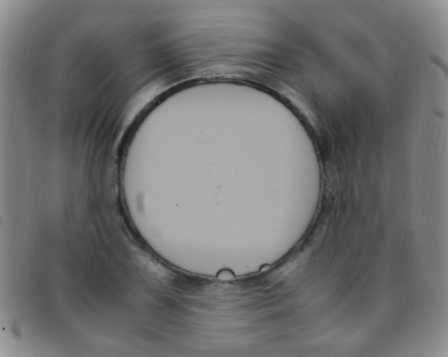 X0000097501075200803142014