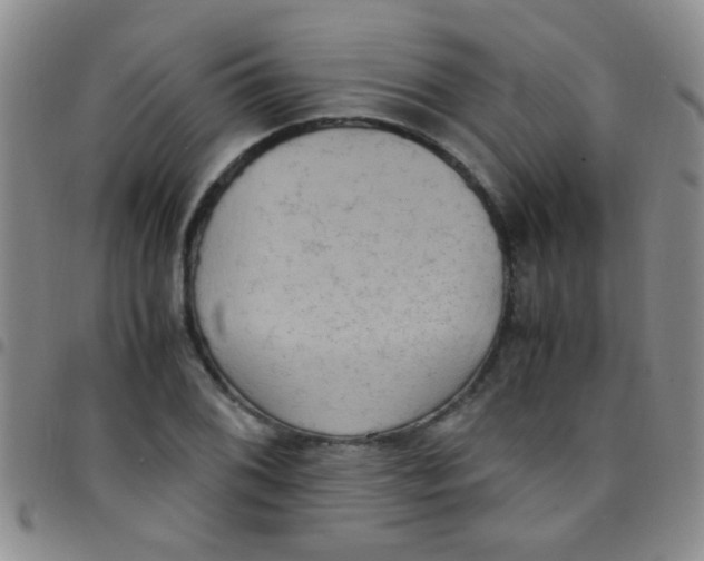 X0000097501076200803142014