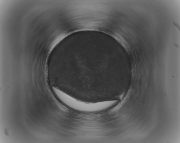 X0000097501077200803142014