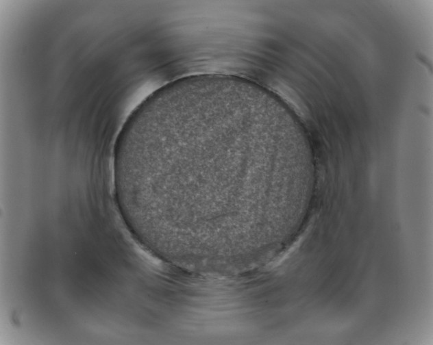 X0000097501079200803142014