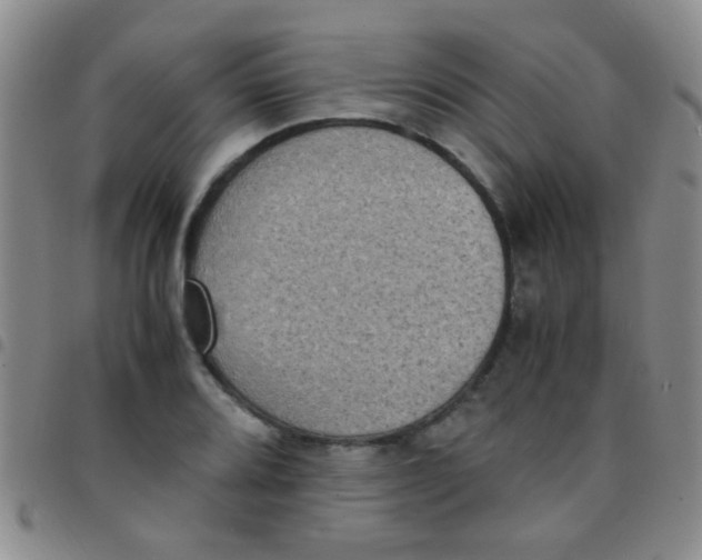 X0000097501080200803142014