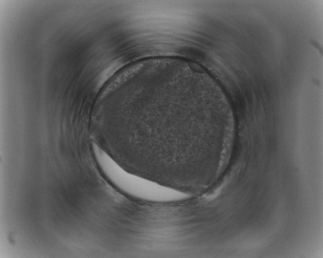 X0000097501081200803142014