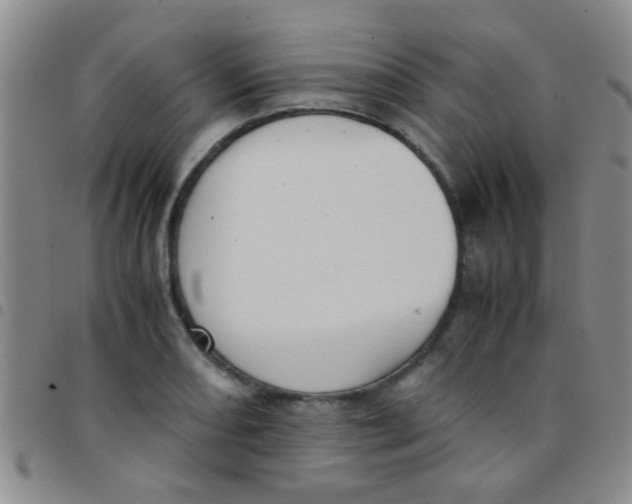 X0000097501082200803142014