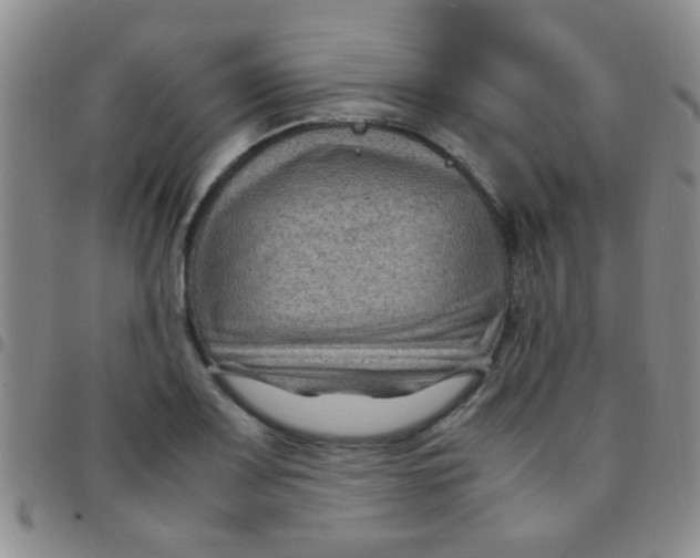 X0000097501083200803142014