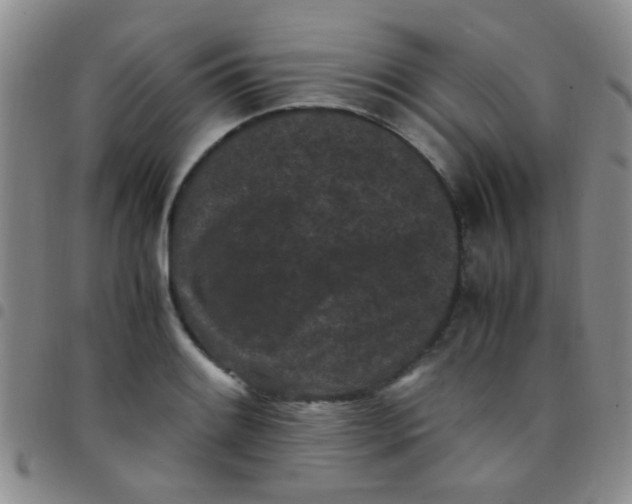 X0000097501084200803142014