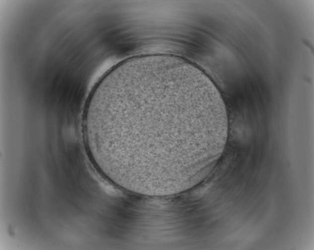 X0000097501086200803142014