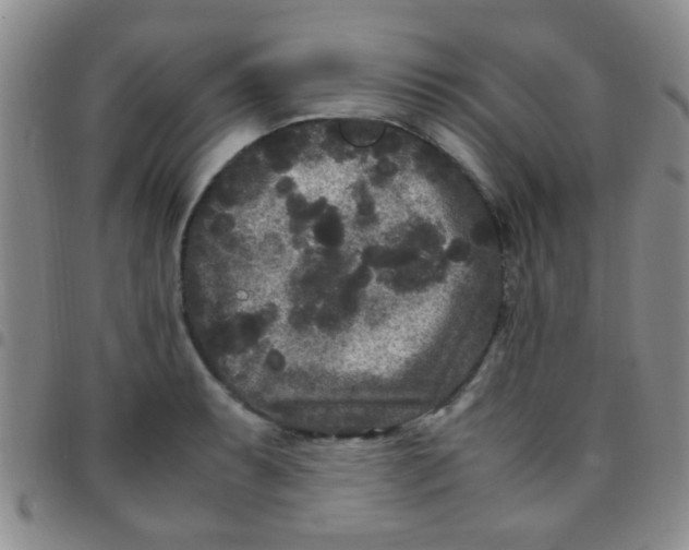 X0000097501087200803142014