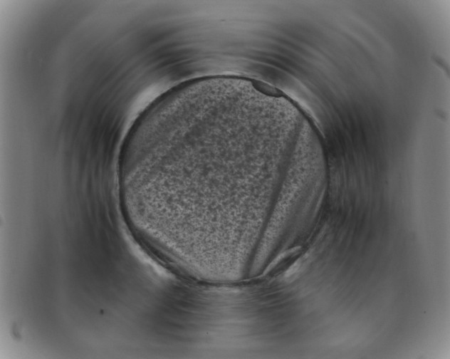 X0000097501088200803142014