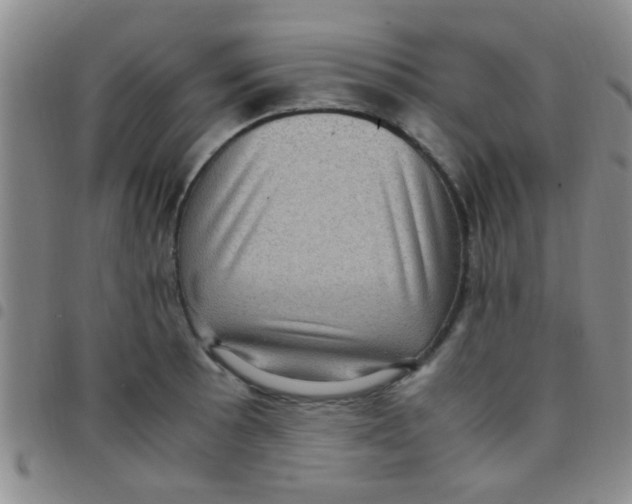 X0000097501089200803142014